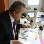 Anadolu'nun Bitki Mirası Türkçe Kodlarıyla Geleceğe Taşınıyor