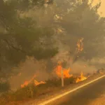 Orman Yangınlarında 12 Şüpheli Tutuklandı