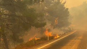 Orman Yangınlarında 12 Şüpheli Tutuklandı