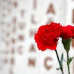 Şehit Aileleri ve Gazilere Yeni Haklar