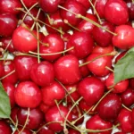 Türk Kirazı Rekor Kırdı