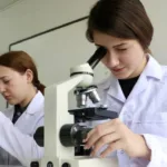 AR-GE Harcamalarında Rekor