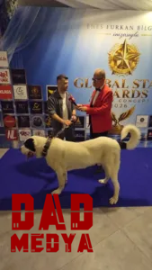 Global Star Awards 2026.Ahmet Yavuz