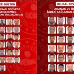 Son 1 Ayda Aranan 63 Suçlu 8 Ülkeden Türkiye'ye Getirildi