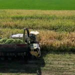 Tarıma 10 Milyon Dolar Dev Destek