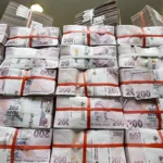 Tasarruf Finansmanında Rekor