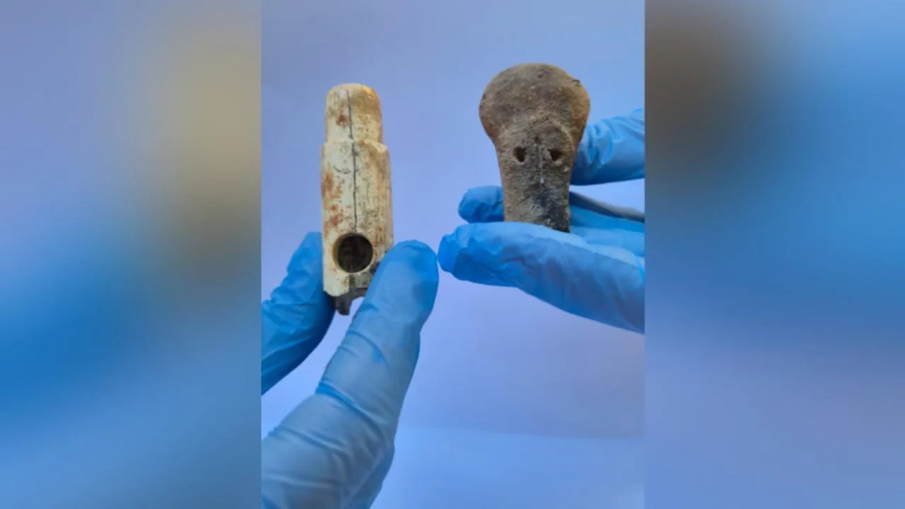 Troya'da Tarihi Keşif: 2800 Yıllık İlk Kemik Flüt Bulundu