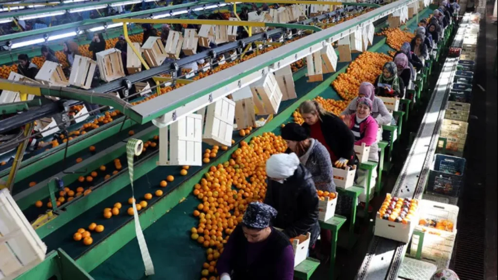 Türkiye İhracatında 9 Ayda 211 Milyar Dolar Rekoru
