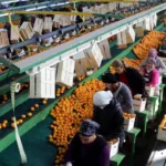 Türkiye İhracatında 9 Ayda 211 Milyar Dolar Rekoru