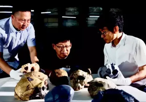 1 Milyon Yıllık Kafatası İnsanlık Tarihini Yeniden Yazıyor