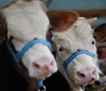 15 Köy Karantinaya Alındı