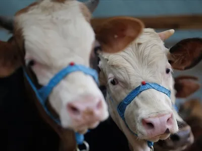 15 Köy Karantinaya Alındı