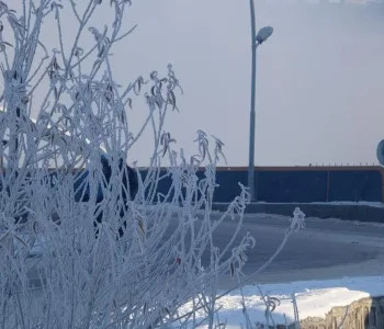 174 Merkezde Toprak Sıcaklığı Sıfırın Altında