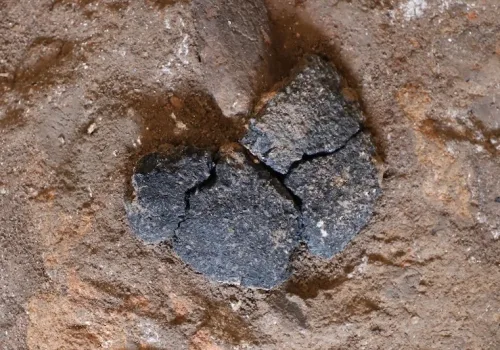 5000 Yıllık Ekmeğe Fransız Desteği