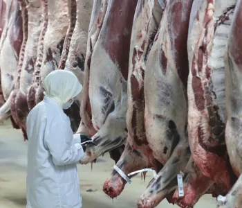 Ankara Merkezli 8 İlde Kırmızı Et Operasyonu