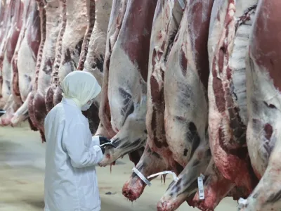 Ankara Merkezli 8 İlde Kırmızı Et Operasyonu