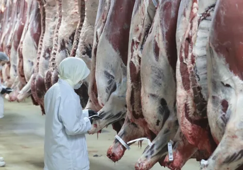 Ankara Merkezli 8 İlde Kırmızı Et Operasyonu