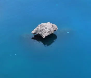 Antalya Körfezi'nde Denizanası İstilası