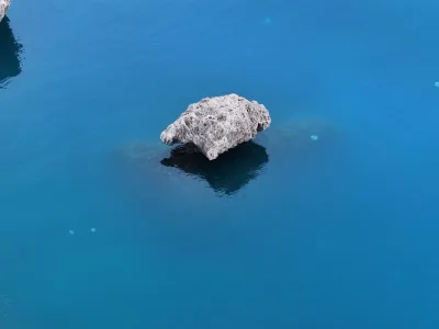 Antalya Körfezi'nde Denizanası İstilası