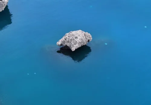 Antalya Körfezi'nde Denizanası İstilası