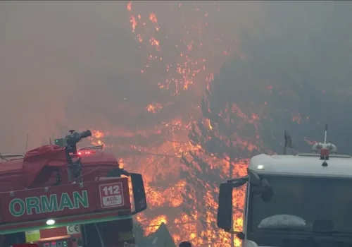 Aydın-Denizli-Bartın’daki Yangınlar Kontrol Altında