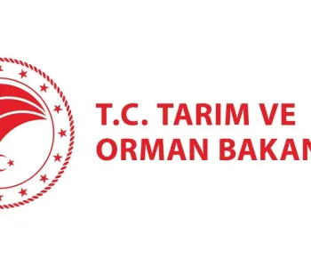 Bakanlıktan Net Yapay Et Açıklaması