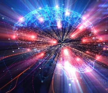 Beyin Nasıl Tek Bir Akıllı Sistem Haline Geliyor