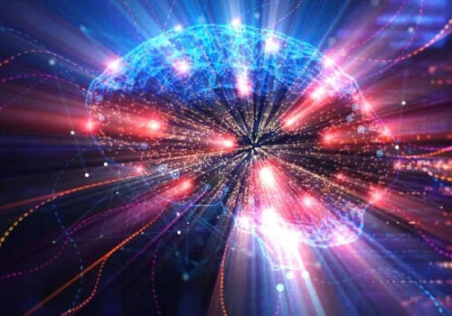 Beyin Nasıl Tek Bir Akıllı Sistem Haline Geliyor