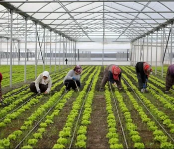 Bölgesel Kalkınmaya 15,6 Milyar Liralık Dev Yatırım Müjdesi