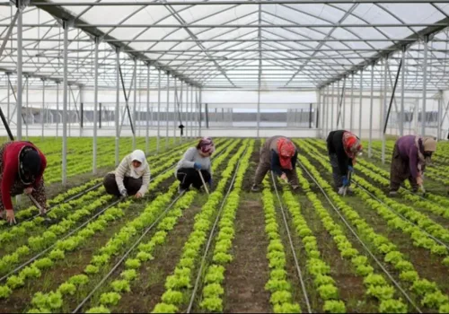 Bölgesel Kalkınmaya 15,6 Milyar Liralık Dev Yatırım Müjdesi