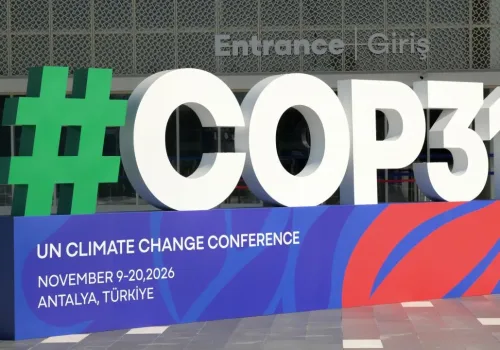 COP31 Alanı