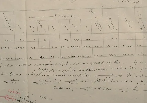 Çanakkale’nin Tıbbi Bilançosu: 111 Yıl Sonra Gelen Belge