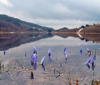 Cemre Suya Ne Zaman Düşecek