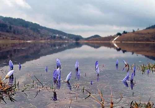 Cemre Suya Ne Zaman Düşecek