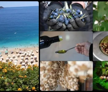 Coğrafi İşaret Zirvesi: Başvuruda Antalya, Tescilde Hatay