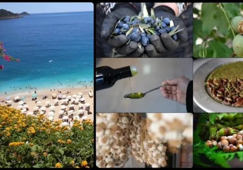 Coğrafi İşaret Zirvesi: Başvuruda Antalya, Tescilde Hatay