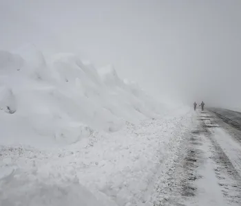 Ekiplerin Üzerine Çığ Düştü