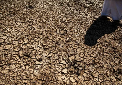 FAO'dan Türkiye'ye Erozyon ve Kuraklık İçin 8.1 Milyon $ Destek