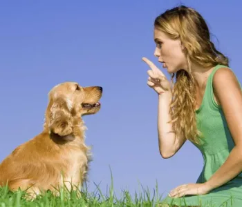 Hayvanlarla Konuşma Çağı