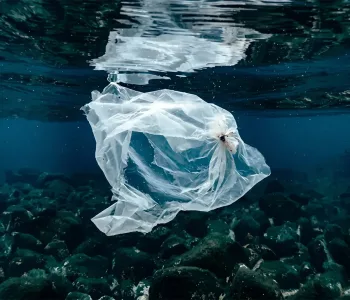 İçme Suyunda Mikroplastik Tehlikesi Büyüyor