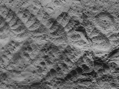 İlk Kitlesel Yok Oluş