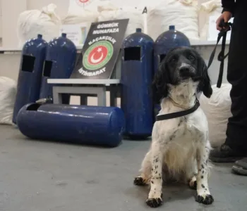 İpsala’da Narkotik Köpeklerinden Kaçamadılar