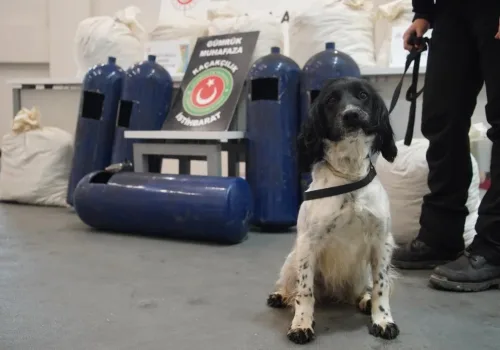 İpsala’da Narkotik Köpeklerinden Kaçamadılar