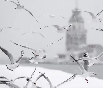 İstanbul Beyaza Bürünüyor