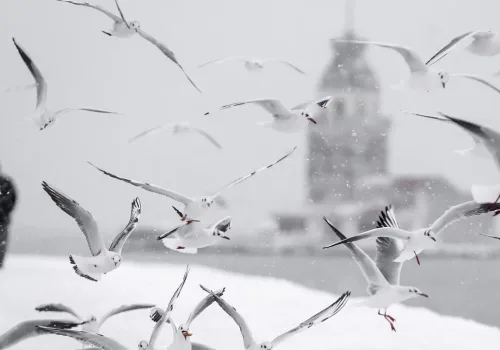 İstanbul Beyaza Bürünüyor