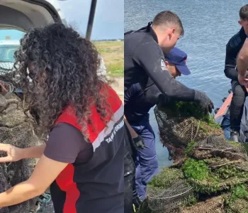 İzmir'de Yasa Dışı Avcılığa Darbe
