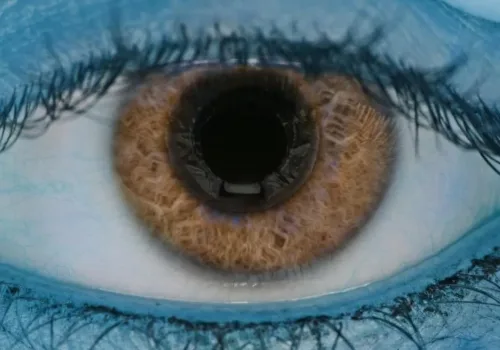 Kök Hücre Nakli ile Yaşa Bağlı Görme Kaybı Tedavisi