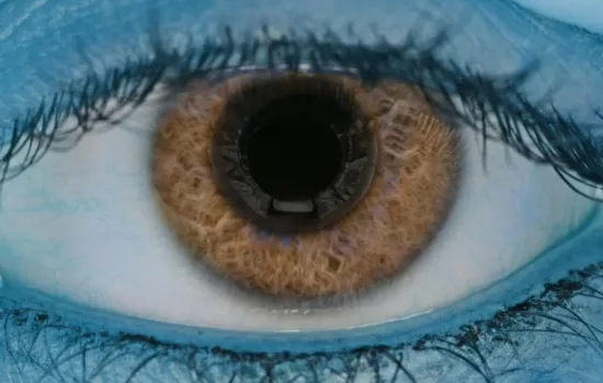 Kök Hücre Nakli ile Yaşa Bağlı Görme Kaybı Tedavisi