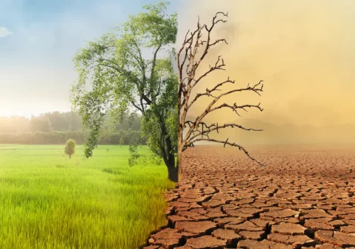 Kuraklık Ekonomiyi Vuruyor: Su Kıtlığı Gıda ve Enerji Fiyatlarını Yükseltiyor