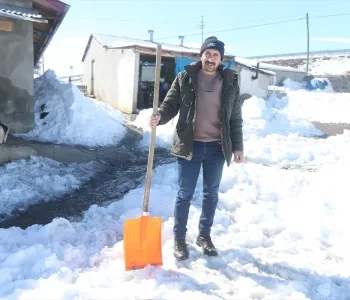Kurt Sürüsüne Karşı Kürekle Direniş